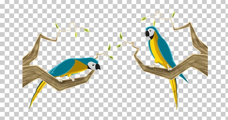 Macaws Parrot Animation Beak PNG, Clipart, Animals, Animation, Art, Beak, Bird Free PNG Download