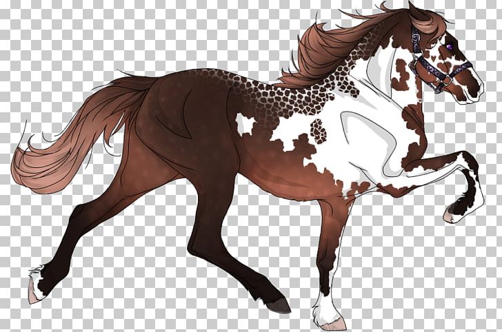 Mustang Stallion Mare Rein Mane PNG, Clipart, Anim, Bay, Bridle, Dog Harness, Frame Free PNG Download