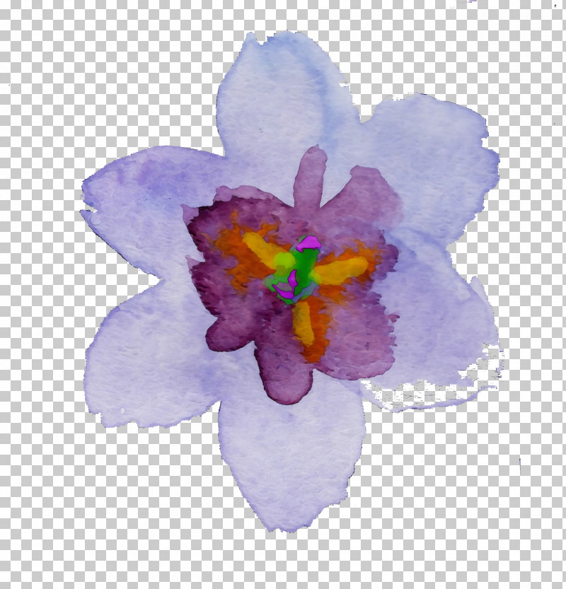 Petal Violet Flower Purple Watercolor Paint PNG, Clipart, Cattleya, Crocus, Flower, Iris, Paint Free PNG Download