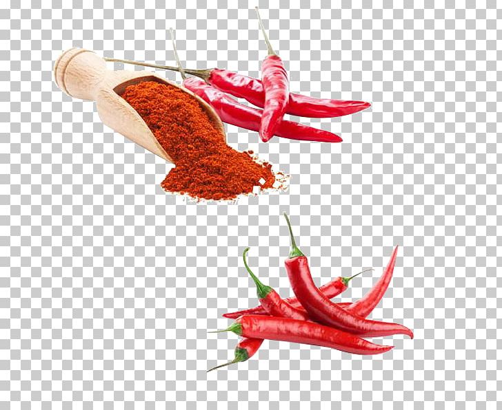Capsaicin Capsicum Annuum Capsicum Frutescens Extract Chili Pepper PNG, Clipart, Birds Eye Chili, Cayenne Pepper, Chili, Creative Ads, Creative Artwork Free PNG Download