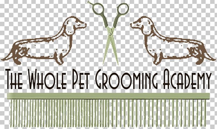 Dog Grooming Pet Sitting Horse PNG, Clipart, Animal, Animal Figure, Animals, Area, Brand Free PNG Download