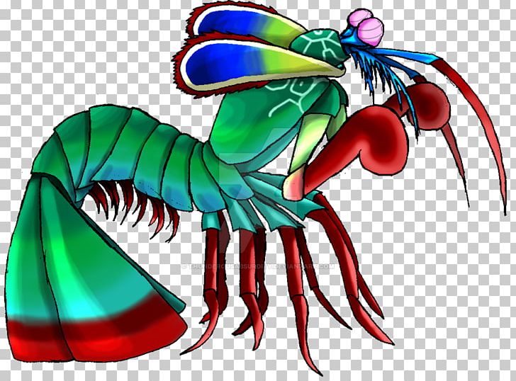 Mantis Shrimp Odontodactylus Scyllarus Drawing PNG, Clipart, Animal, Animals, Art, Cartoon, Decapoda Free PNG Download