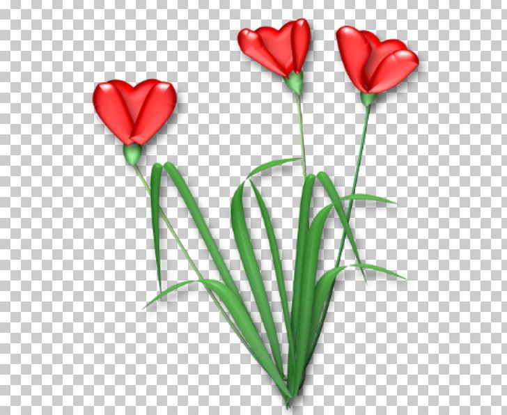 Flowering Plant Cut Flowers Tulip Rosaceae PNG, Clipart, Cut Flowers, Flora, Flower, Flower Bouquet, Flowering Plant Free PNG Download