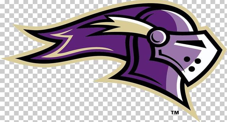 Saint Michael's College Purple Knights Men's Basketball Colchester Northeast-10 Conference PNG, Clipart, Art, Colchester, College, Fictional Character, Headgear Free PNG Download