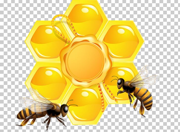 Bee Honeycomb PNG, Clipart, Arthropod, Bee, Beehive, Beekeeping, Honey Free PNG Download
