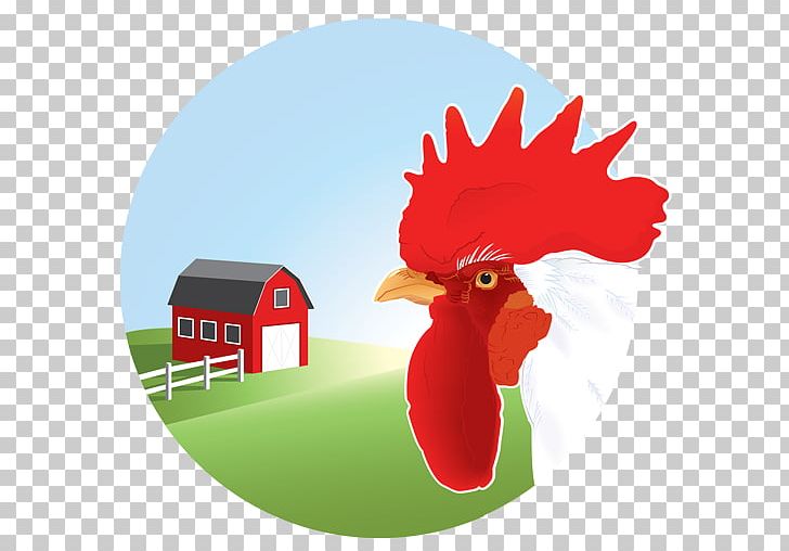 Chicken Graphics Illustration PNG, Clipart, Beak, Bird, Chicken, Drawing, Farm Free PNG Download