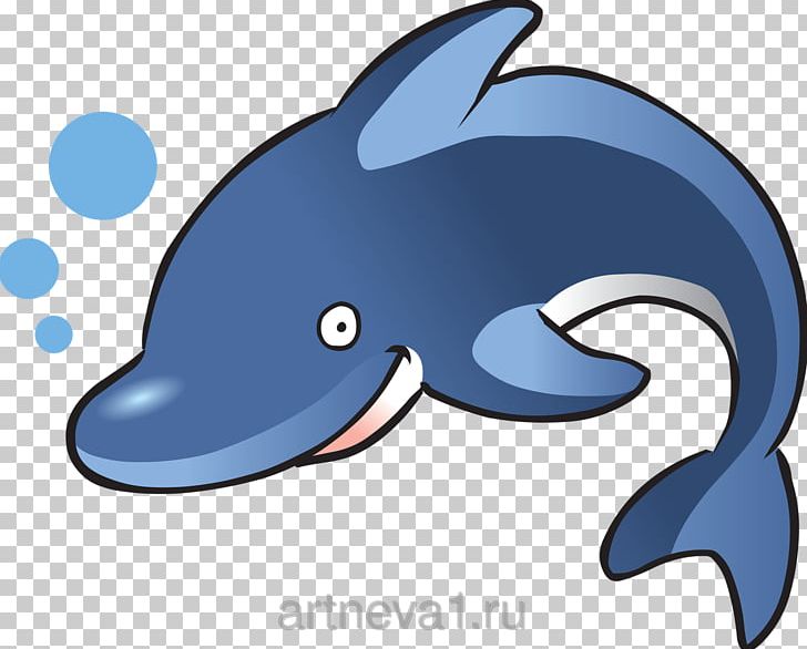 Bottlenose Dolphin PNG, Clipart, Animals, Beak, Blog, Bottlenose Dolphin, Cartoon Free PNG Download
