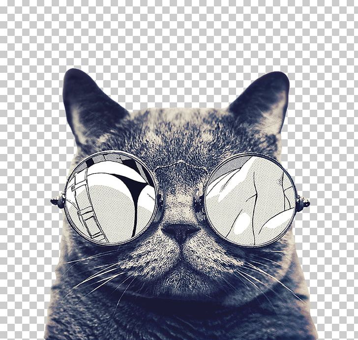 cartoon cat with sunglasses