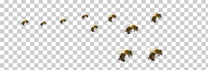 Honey Bee Hornet Insect Beehive PNG, Clipart, Animal, Bee, Beehive, Bee Sting, Bombyliidae Free PNG Download