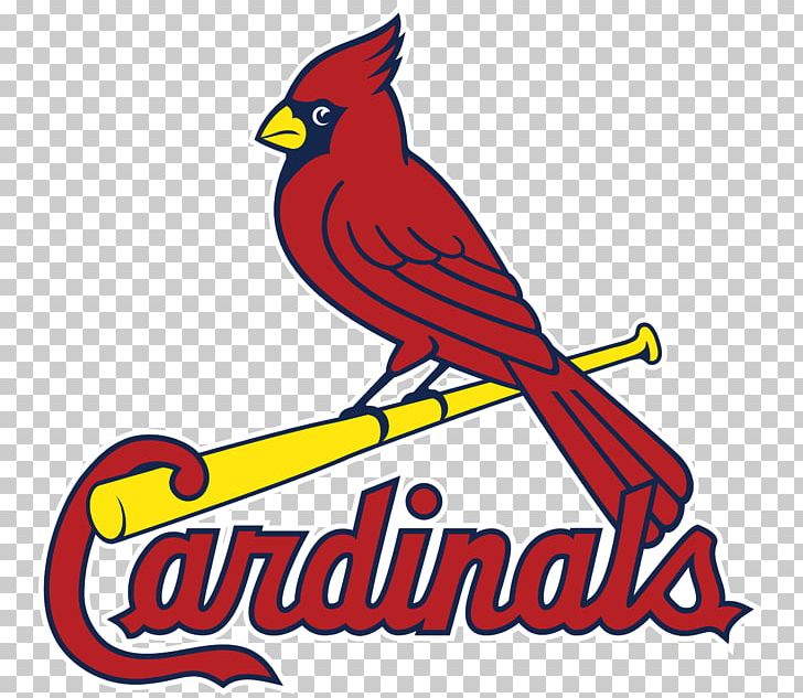 Logos And Uniforms Of The St. Louis Cardinals MLB Busch Stadium Palm Beach Cardinals PNG, Clipart, Area, Art, Artwork, Baseball, Beak Free PNG Download