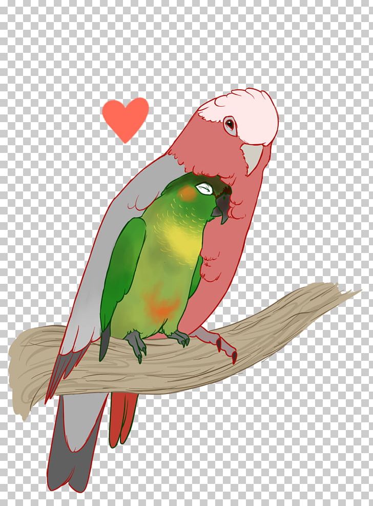 Macaw Parakeet Beak Feather PNG, Clipart, Animals, Art, Beak, Bird, Common Pet Parakeet Free PNG Download