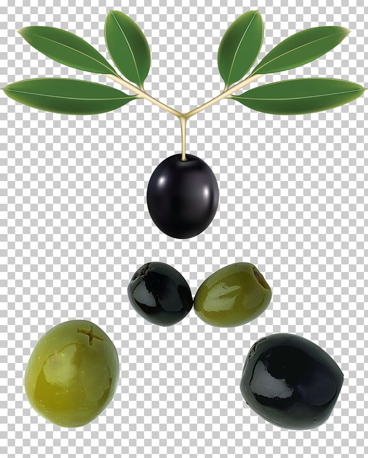 Olive Leaf Olive Oil PNG, Clipart, Background Black, Background Green, Black, Black Background, Black Vector Free PNG Download
