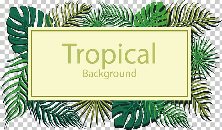 Tropics Euclidean Leaf PNG, Clipart, Conifer, Decorative Patterns, Design, Download, Encapsulated Postscript Free PNG Download