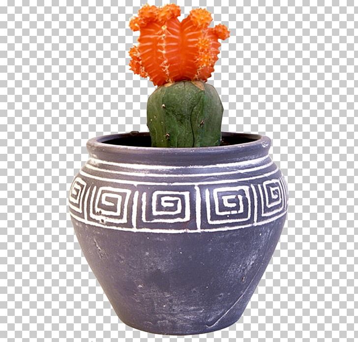 Cactus Flowerpot Houseplant Bonsai Vase PNG, Clipart, Bonsai, Cactus, Ceramic, Crock, Download Free PNG Download