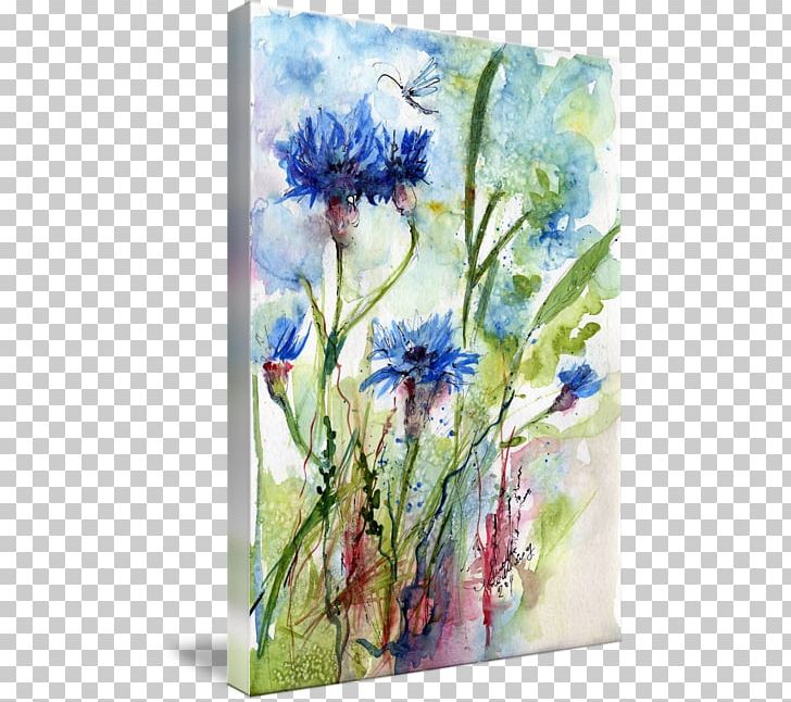 Floral Design Cornflowers Watercolor Painting PNG, Clipart, Art, Canvas, Canvas Print, Cornflower, Cornflowers Free PNG Download