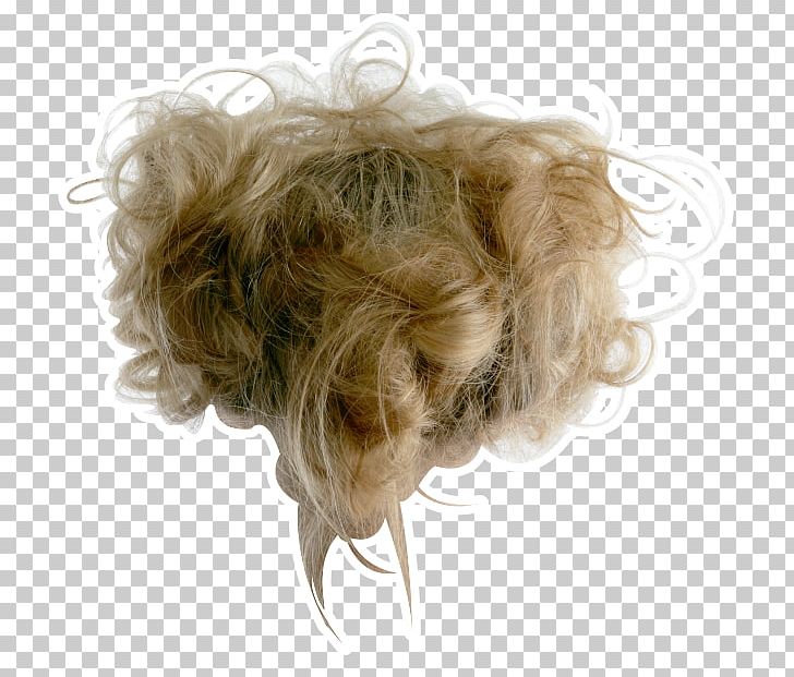 Hairstyle Wig Fashion Beauty Parlour PNG, Clipart, Beauty Parlour, Brown Hair, Cosmetologist, Dress, Fashion Free PNG Download