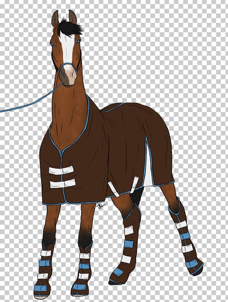 Mustang Rein Horse Harnesses Pony Bridle PNG, Clipart, Bit, Bridle, Designe, Equestrian, Equestrian Sport Free PNG Download