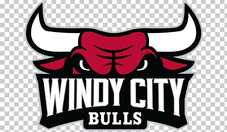 Sears Centre Arena Windy City Bulls NBA Development League Chicago Bulls Canton Charge PNG, Clipart, Artwork, Association, Basketball, Brand, Bull Free PNG Download