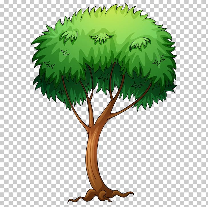 Tree PNG, Clipart, Branch, Cartoon, Catalpa, Chris, Environmental Free PNG Download