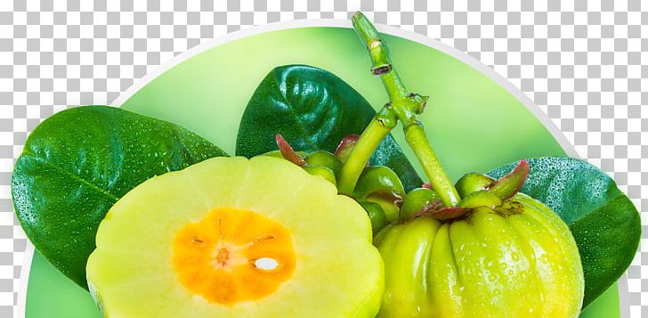 Dietary Supplement Garcinia Gummi-gutta Health Weight Loss Green Coffee Extract PNG, Clipart, Appetite, Cucumber Gourd And Melon Family, Diet, Dietary Supplement, Diet Food Free PNG Download