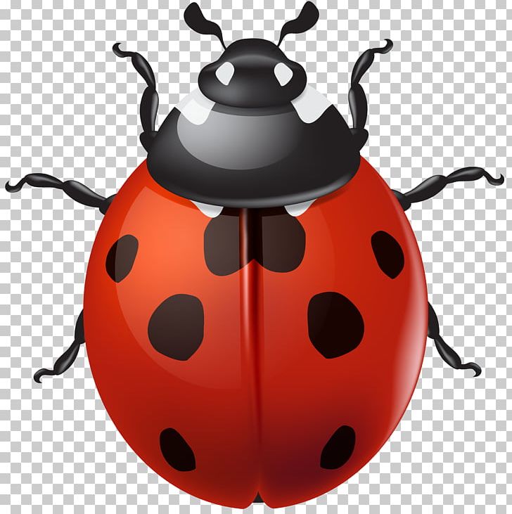 Ladybird Beetle Desktop PNG, Clipart, Animals, Art, Beetle, Clip, Computer Icons Free PNG Download