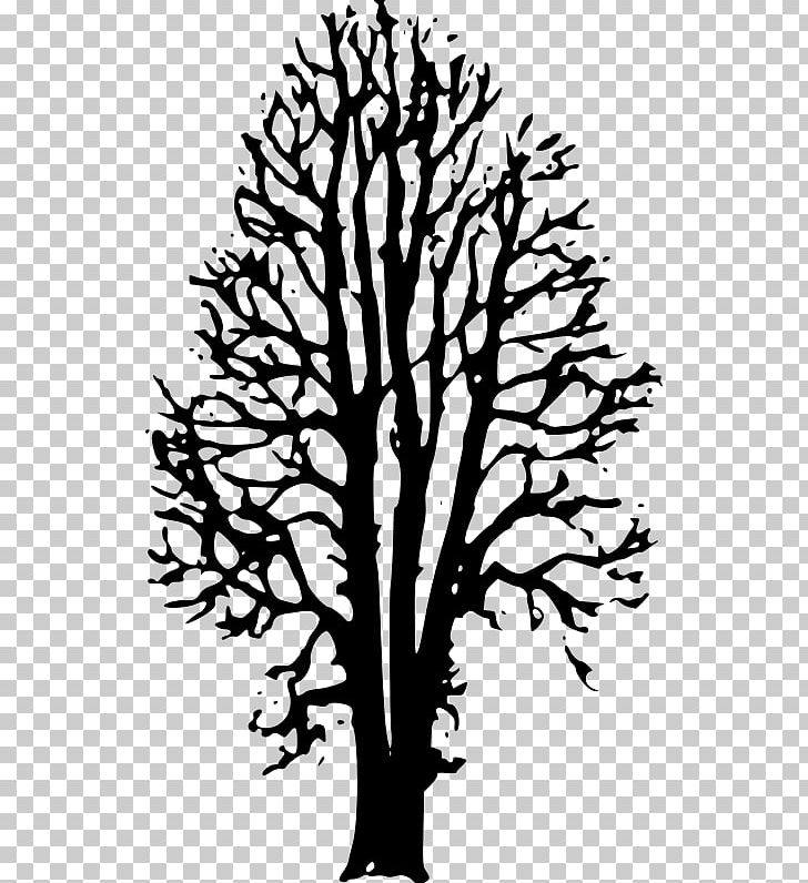 Twig The Country Beyond The Forests Ophelia: Afterworld Book One Drawing PNG, Clipart, Art, Beech, Beech Tree, Black And White, Book Free PNG Download