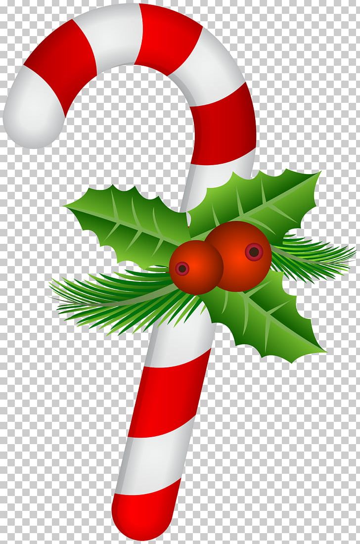 Candy Cane Christmas PNG, Clipart, Aquifoliaceae, Candy, Candy Cane, Christmas, Christmas Candy Free PNG Download