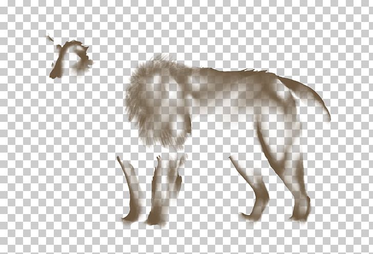 Dog Canidae Tail Wildlife Mammal PNG, Clipart, Animals, Canidae, Carnivoran, Cat Like Mammal, Dog Free PNG Download