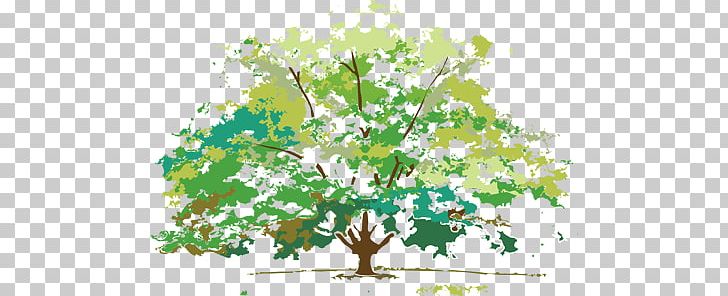 Four Seasons Hotels And Resorts Autumn Leaf Color PNG, Clipart, Autumn, Autumn Leaf Color, Branch, Dorjath Law Center, Drawing Free PNG Download
