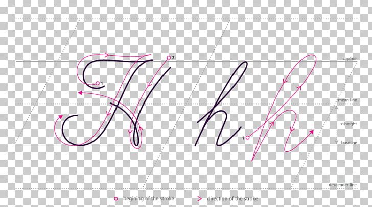 Logo Brand Line Font PNG, Clipart, Angle, Area, Brand, Calligraphy, Diagram Free PNG Download