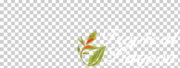 Petal Desktop Plant Stem Bud Leaf PNG, Clipart, Branch, Bud, Closeup, Closeup, Computer Free PNG Download