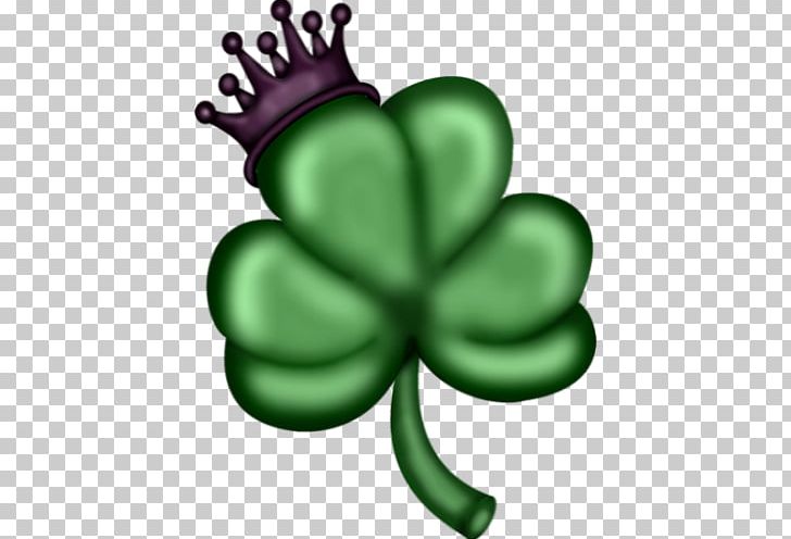 Shamrock Saint Patrick's Day 17 March Clover PNG, Clipart,  Free PNG Download
