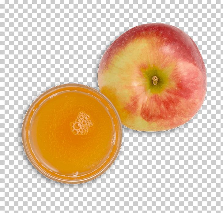 Apple PNG, Clipart, Apple, Apple Bite, Food, Fruit, Fruit Nut Free PNG Download