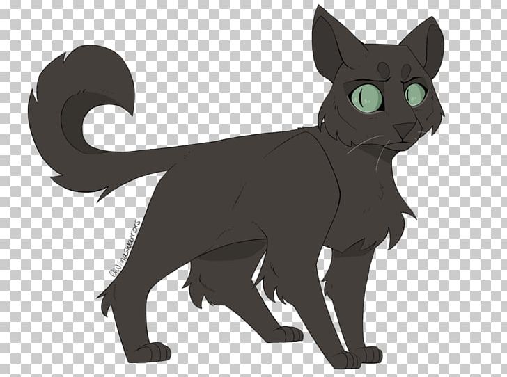 Black Cat Kitten Korat Domestic Short-haired Cat Whiskers PNG, Clipart ...