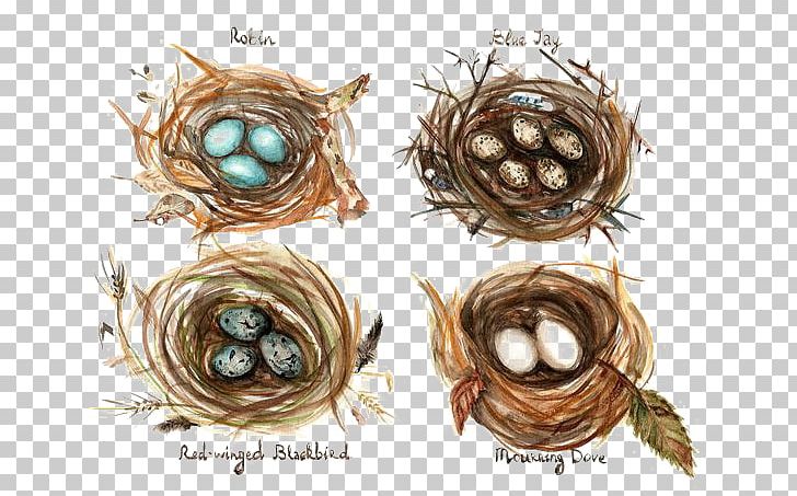 Edible Birds Nest Bird Nest Watercolor Painting Drawing PNG, Clipart, Animals, Art, Balloon Cartoon, Bird, Bird Cage Free PNG Download