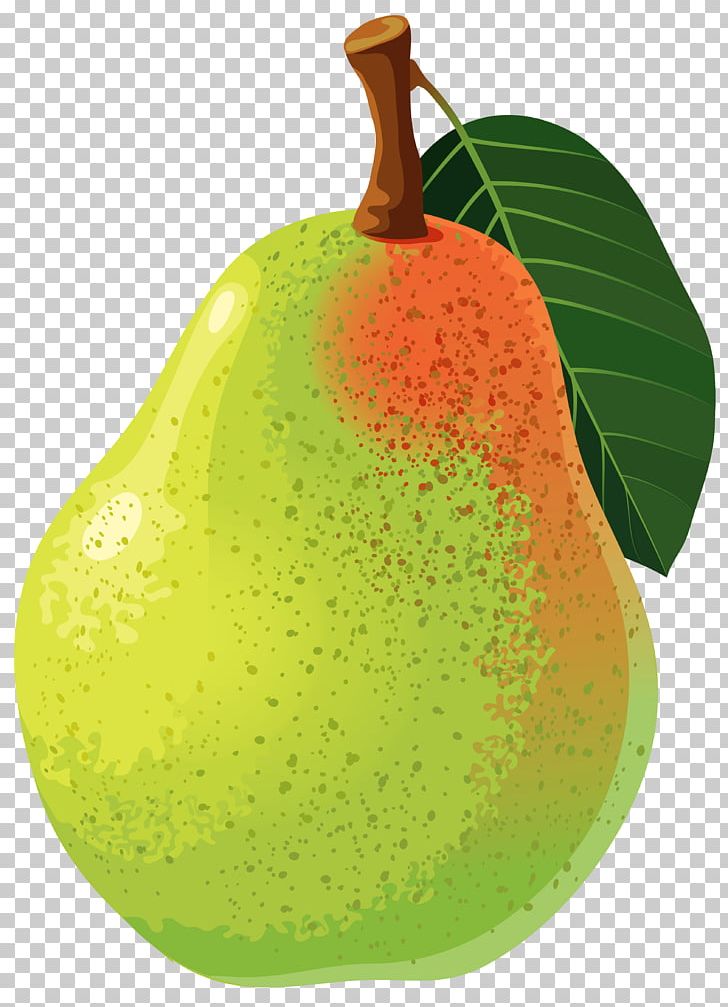 Asian Pear PNG, Clipart, Apple, Asian Pear, Avocado, Bosc Pear, Clipart Free PNG Download