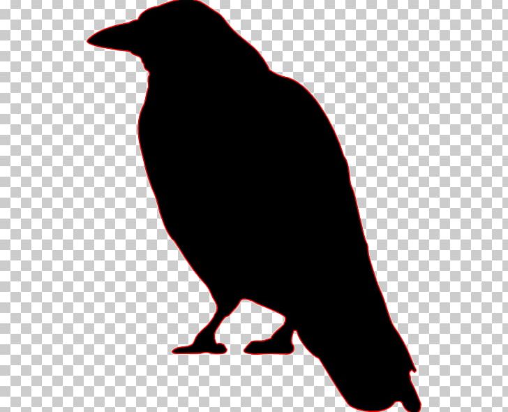 Crows Free Content PNG, Clipart, Artwork, Beak, Bird, Black And White, Cartoon Crow Free PNG Download