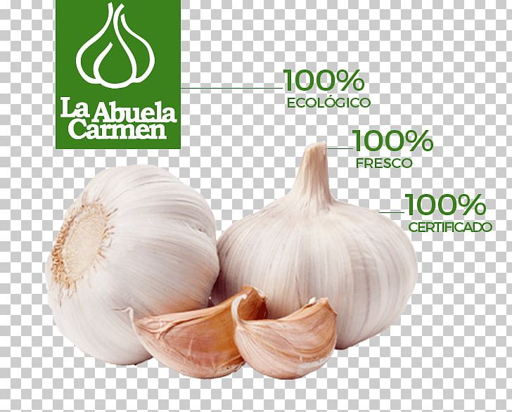 Garlic Organic Food Vegetable The Stinking Rose PNG, Clipart, Dish, Elephant Garlic, Food, Garlic, Grocery Store Free PNG Download