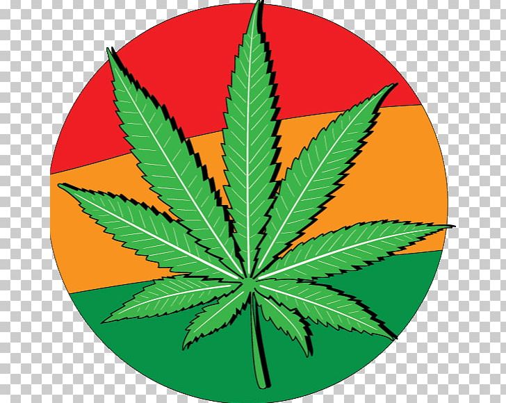 United States Cannabis Drawing Rastafari PNG, Clipart, Cannabis, Drawing, Hemp, Hemp Family, Leaf Free PNG Download