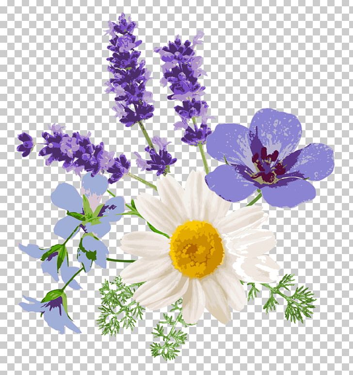 English Lavender Floral Design Chamomile French Lavender Flower PNG, Clipart, Chamomile, Cut Flowers, English Lavender, Floral Design, Floristry Free PNG Download