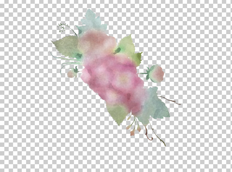 Pink Flower Plant Watercolor Paint Leaf PNG, Clipart, Branch, Flower, Grapevine Family, Leaf, Petal Free PNG Download