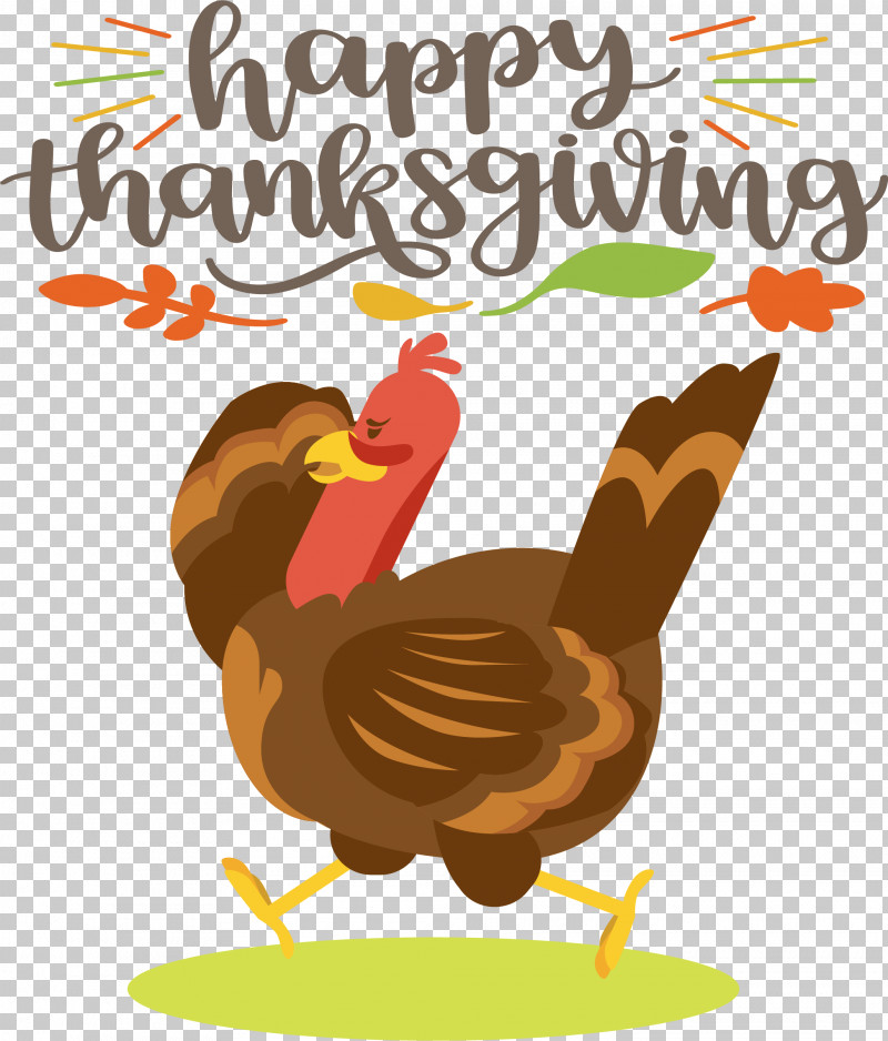 Happy Thanksgiving Turkey PNG, Clipart, Beak, Chicken, Happy Thanksgiving, Landfowl, Livestock Free PNG Download