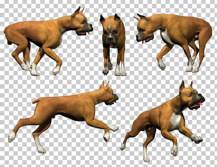 Dog Breed Snout Muscle Wildlife PNG, Clipart, Animals, Breed, Carnivoran, Dog, Dog Breed Free PNG Download