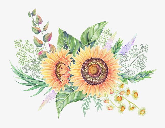 Hand-painted Watercolor Flower Illustration PNG, Clipart, Decor, Flower, Flower Clipart, Hand, Hand Painted Free PNG Download