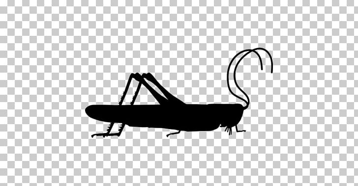 Insect Grasshopper Caelifera Silhouette PNG, Clipart, Animals, Black, Black And White, Caelifera, Cartoon Free PNG Download