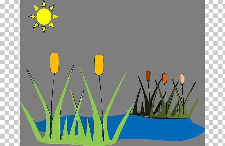 Marsh Trip To The Pond PNG, Clipart, Aquatic Plant, Book, Computer Wallpaper, Flower, Freshwater Marsh Free PNG Download