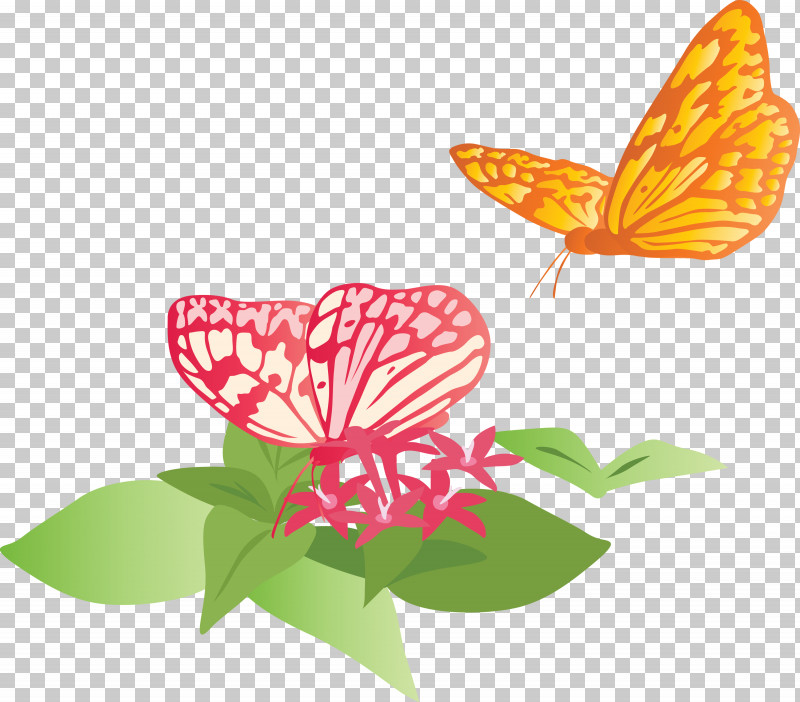 Butterfly Flowers PNG, Clipart, Anthurium, Butterfly, Flower, Flowers, Insect Free PNG Download