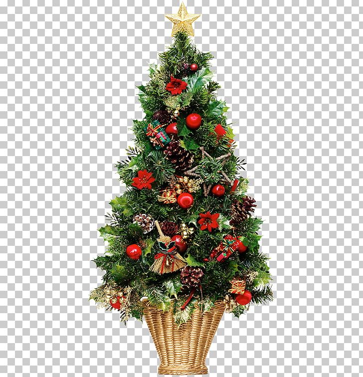 Christmas Tree Christmas Day Christmas Lights PNG, Clipart, Candle, Christmas, Christmas Card, Christmas Day, Christmas Decoration Free PNG Download