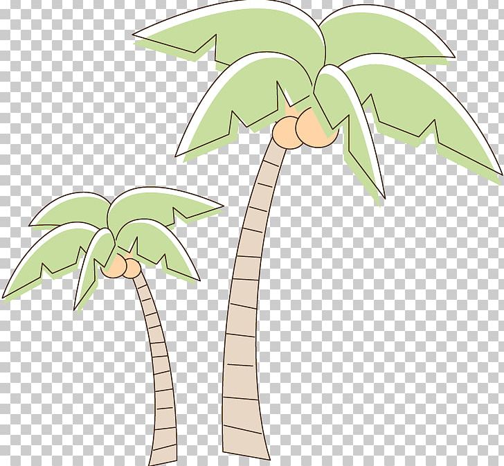 Coconut Tree Drawing PNG, Clipart, Arecaceae, Cartoon, Christmas Tree, Coconut, Coconut Vector Free PNG Download