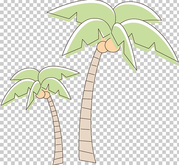 Palm Trees Isolated On Transparent Background Beautiful Vectro Palma Tree  Set Vector Illustration Stock Illustration - Download Image Now - iStock